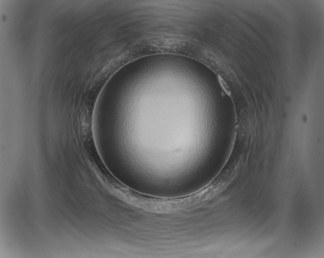 X0000083620040200702121151