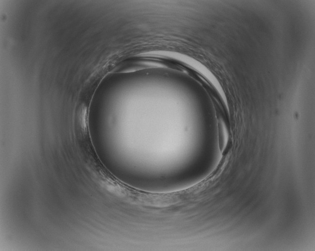 X0000083620041200702121151