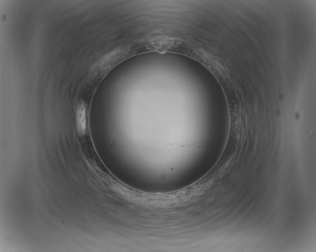 X0000083620042200702121151