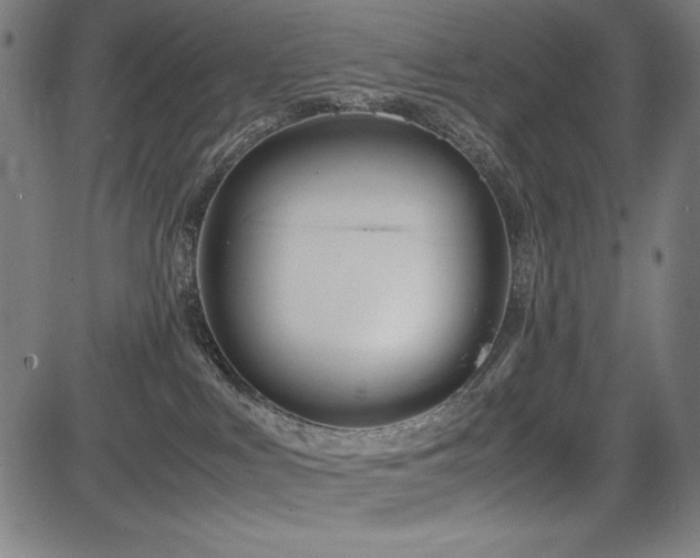 X0000083620043200702121151