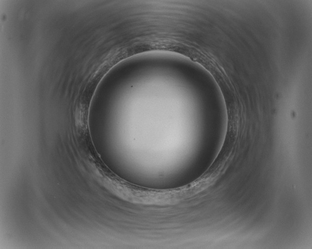 X0000083620044200702121151