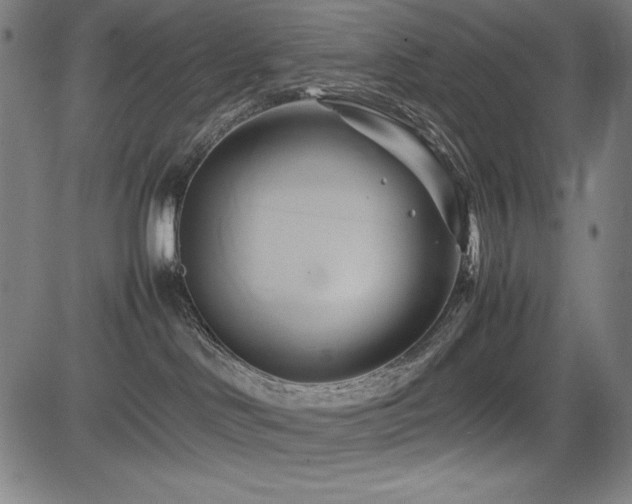 X0000083620046200702121151