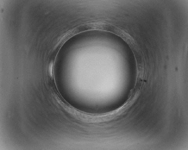 X0000083620047200702121151