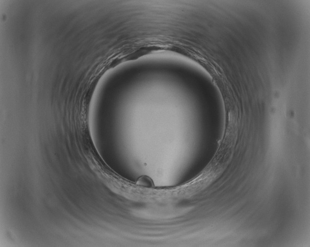X0000083620048200702121151