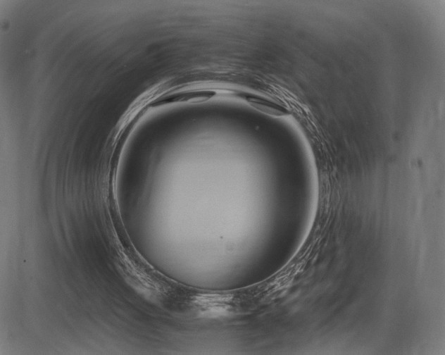 X0000083620051200702121150
