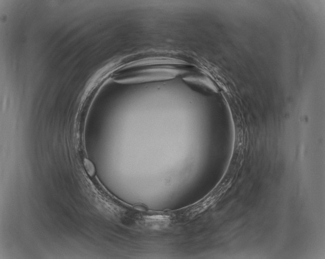 X0000083620053200702121150
