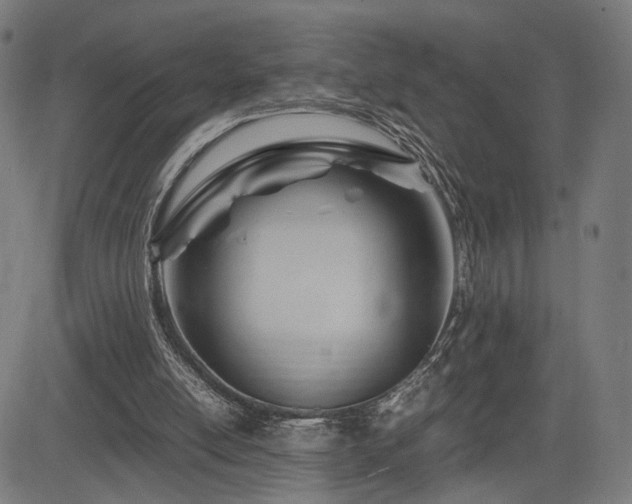 X0000083620054200702121151