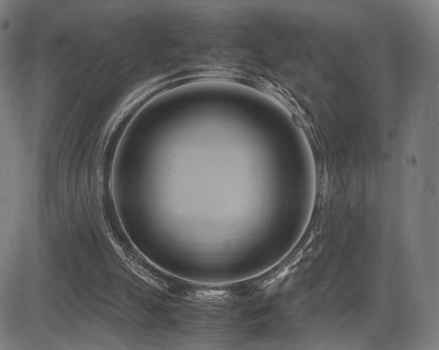 X0000083620055200702121151