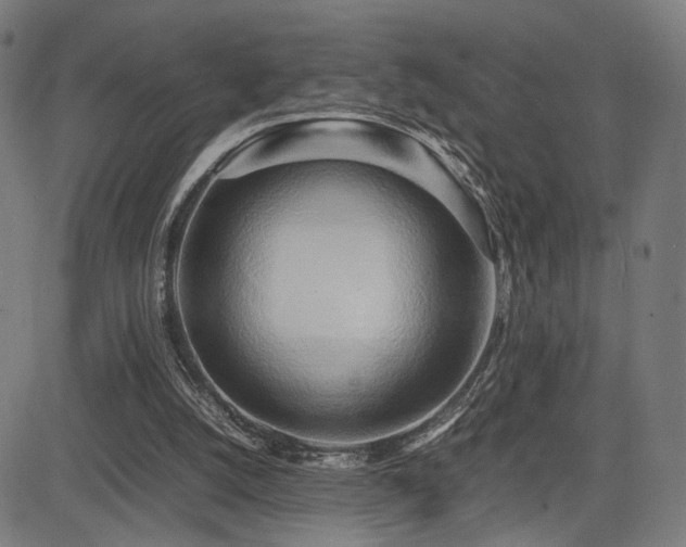 X0000083620056200702121151