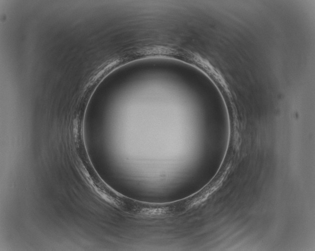 X0000083620057200702121151