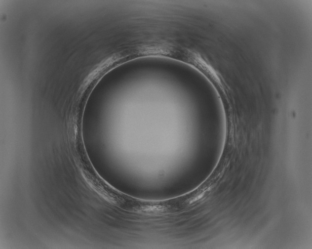 X0000083620059200702121151