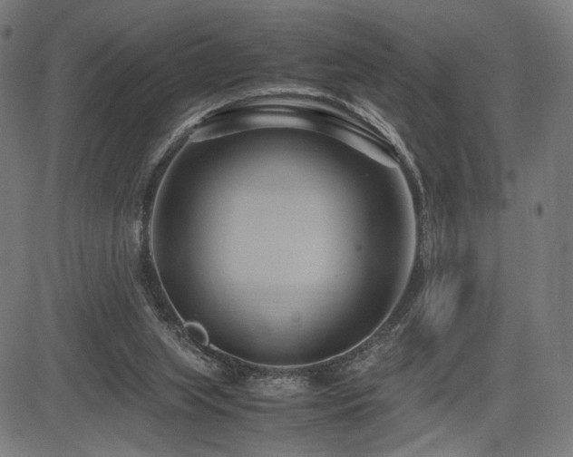 X0000083620063200702121151