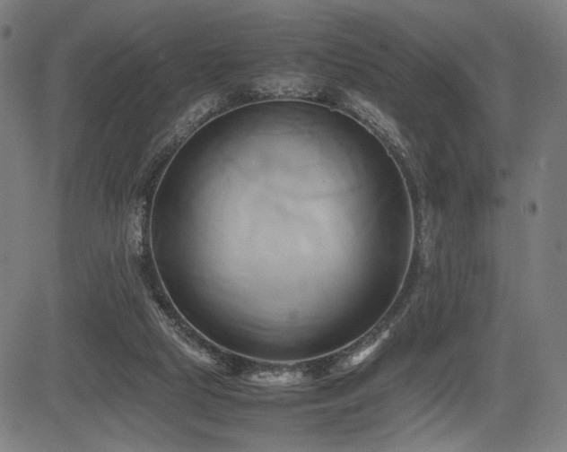X0000083620065200702121151