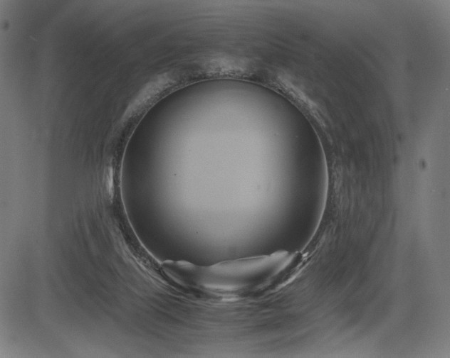 X0000083620067200702121151