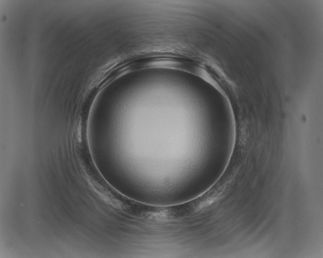 X0000083620068200702121151