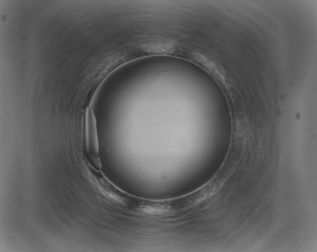X0000083620069200702121151