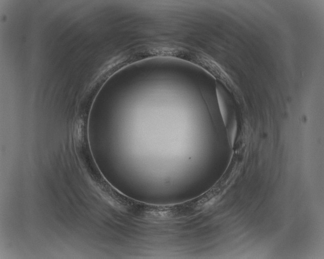 X0000083620071200702121151