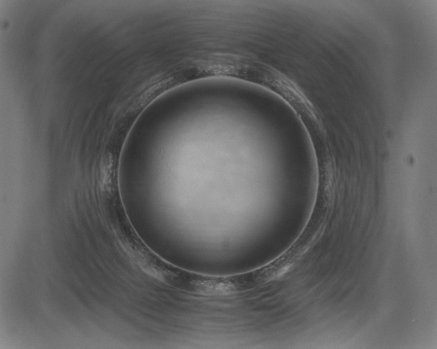 X0000083620073200702121151