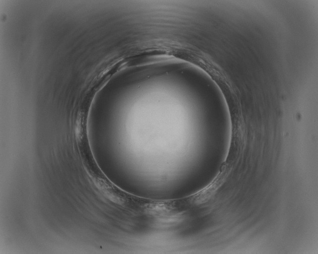 X0000083620074200702121151