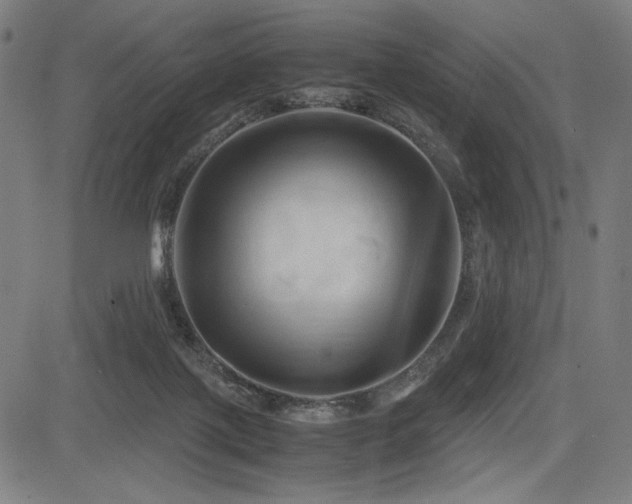 X0000083620075200702121151