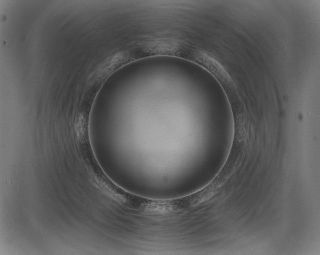 X0000083620077200702121151