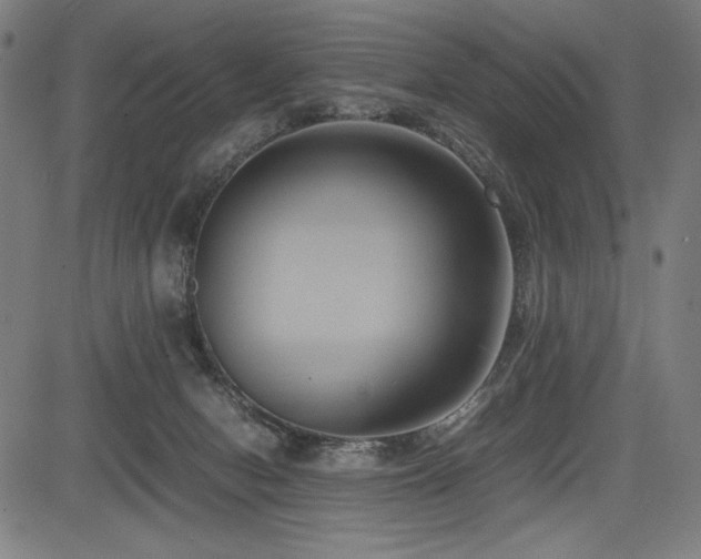 X0000083620078200702121151