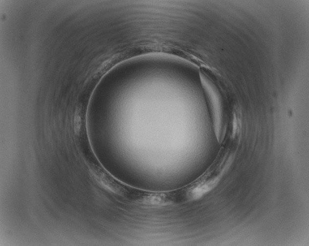 X0000083620080200702121151