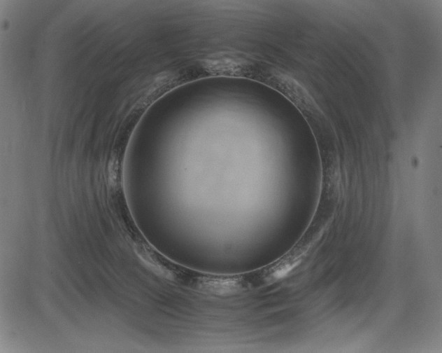 X0000083620081200702121151