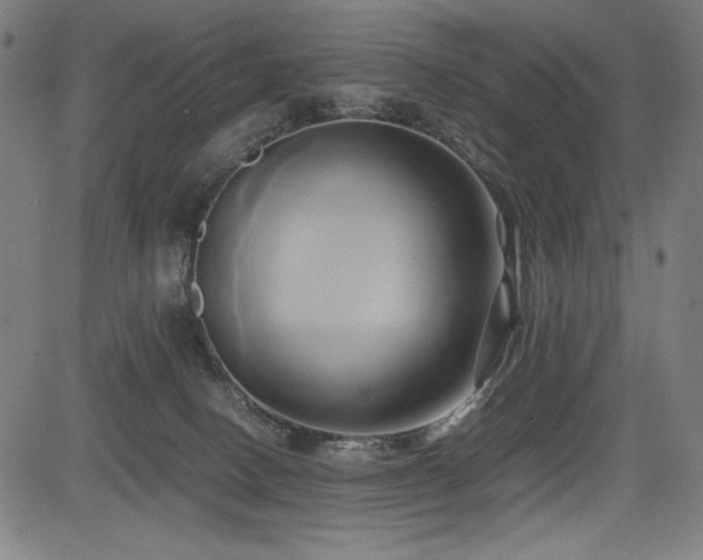 X0000083620082200702121151
