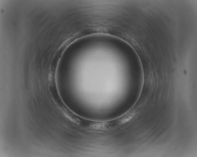 X0000083620084200702121151