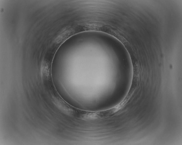 X0000083620086200702121151