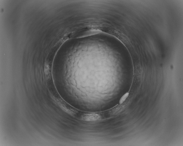 X0000083620087200702121151
