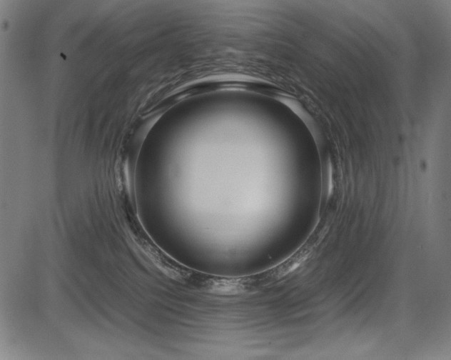 X0000083620088200702121151