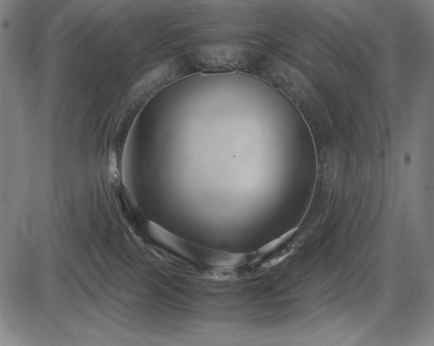 X0000083620089200702121151