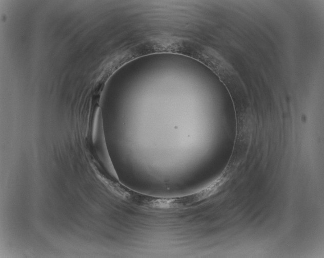 X0000083620090200702121151