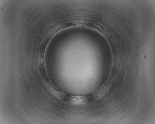 X0000083620091200702121151