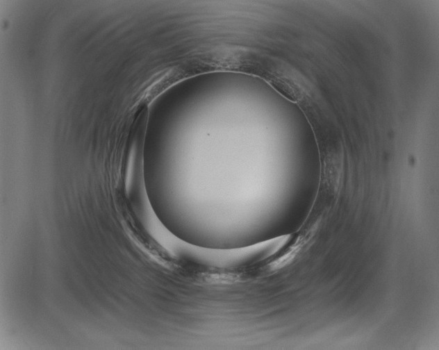 X0000083620092200702121151