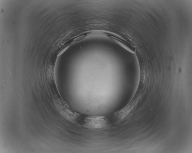 X0000083620093200702121151