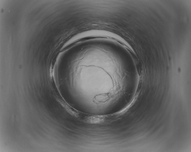 X0000083620094200702121151