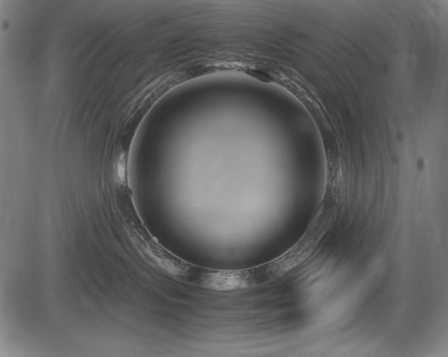 X0000083620095200702121151