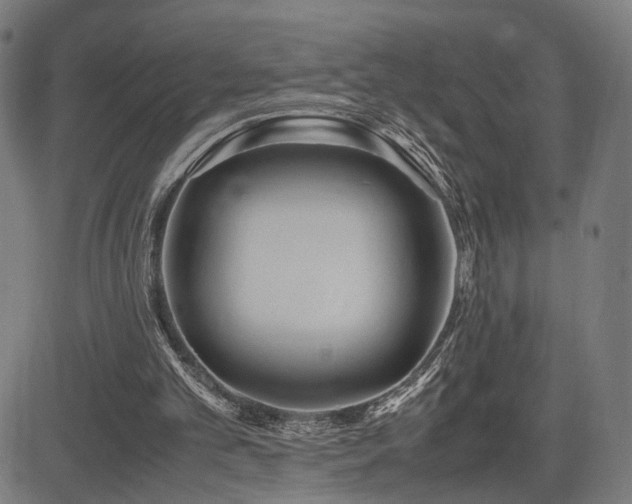 X0000083620101200702121150