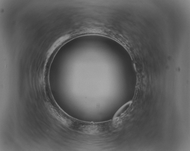 X0000083620104200702121150