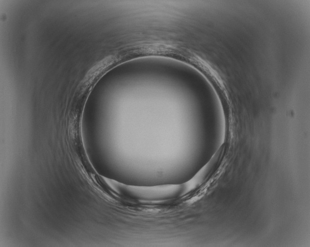 X0000083620105200702121150