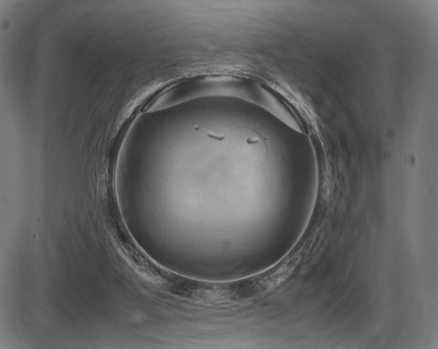 X0000083620107200702121150