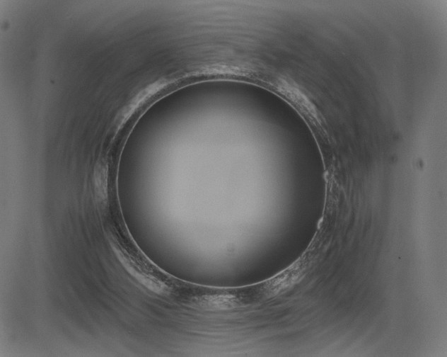 X0000083620108200702121150