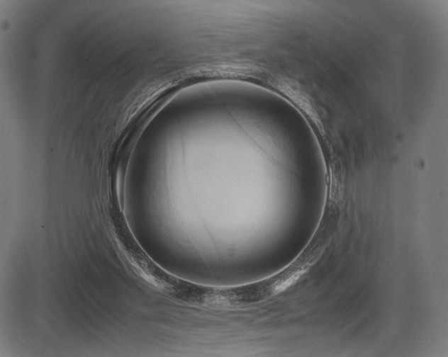 X0000083620109200702121150