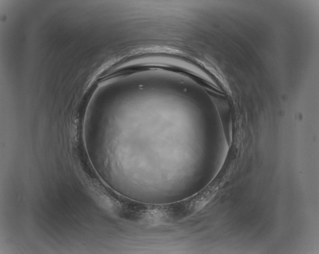 X0000083620111200702121150