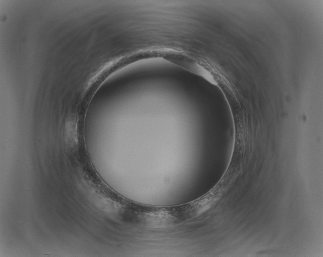 X0000083620112200702121150