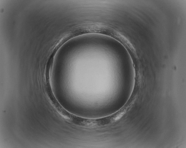X0000083620113200702121150