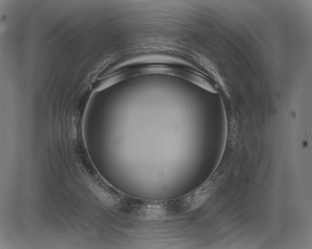 X0000083620114200702121150